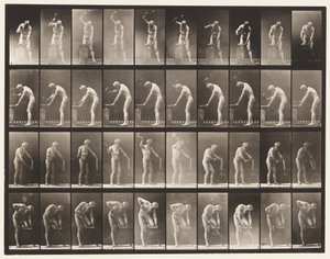 プレート491。A、アンビルでのハンマー。 B、アンビルでのハンマー 作： Eadweard Muybridge