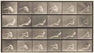 プレート492。A 作： Eadweard Muybridge