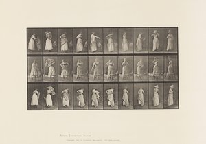 プレート495トイレの様々な局面 作： Eadweard Muybridge