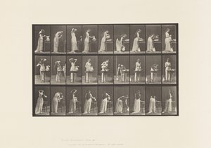 プレート496.トイレのその他の段階、1885 作： Eadweard Muybridge