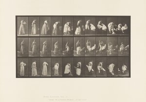 版497.雑多なトイレの段階、1885