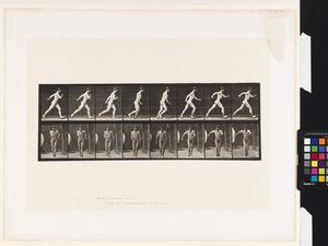 プレート4。ウォーキング 作： Eadweard Muybridge