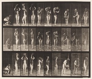 プレート500。ウォータージャーによるさまざまな動き 作： Eadweard Muybridge
