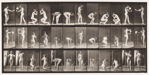 プレート501。その他、かがむ、ひざまずくなど。 作： Eadweard Muybridge