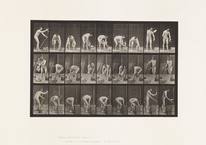 プレート505。煉瓦積み 作： Eadweard Muybridge