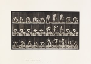 プレート506。煉瓦積み 作： Eadweard Muybridge