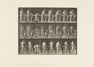 プレート507。大工 作： Eadweard Muybridge