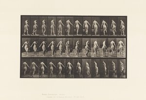 プレート50歩く、バケツを持つ 作： Eadweard Muybridge