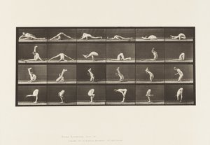 プレート510。地面のゆがみ、1872〜1885 作： Eadweard Muybridge