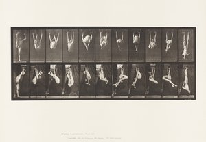 プレート512。リングのゆがみ 作： Eadweard Muybridge