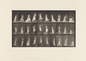 プレート515.上り階段と下り階段など、1885 作： Eadweard Muybridge