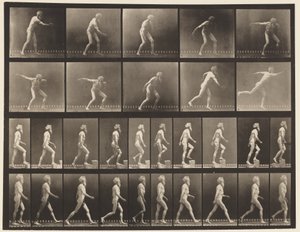 プレート519。A、投げディスク。 B、昇順のステップ。 C、ウォーキング、1872-1885 作： Eadweard Muybridge