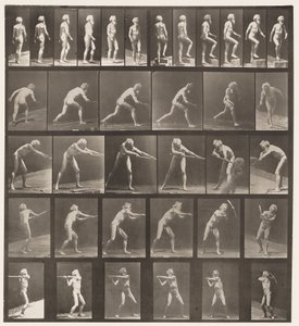 プレート521。A、ウォーキング。 B、昇順ステップ; C、投擲ディスク 作： Eadweard Muybridge
