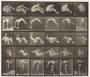 プレート522。A、97ジャンプ。 B、98転回; C、98宙返り 作： Eadweard Muybridge