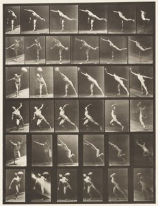 プレート523。A、打撃。 B、スローディスク; 作： Eadweard Muybridge