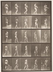 プレート528。A、B、C 作： Eadweard Muybridge