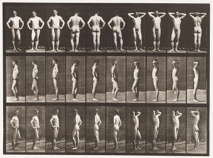 プレート530。さまざまなポーズ 作： Eadweard Muybridge