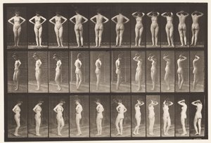 プレート531。さまざまなポーズ 作： Eadweard Muybridge