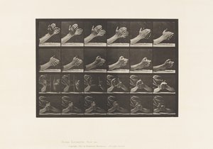 プレート533.手の動き;握り手、1885