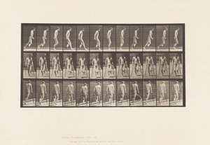 プレート537足の片側切断、松葉杖でのホッピング 作： Eadweard Muybridge