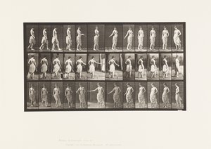 プレート53歩く、花を散らす、アクションを回す 作： Eadweard Muybridge