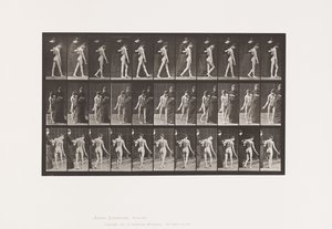 プレート541多発性脳脊髄硬化症（Choreic）；ウォーキング 作： Eadweard Muybridge