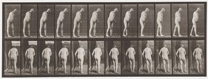 プレート547片麻痺;松葉杖で歩く、1885 作： Eadweard Muybridge