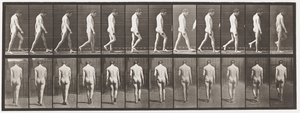 プレート549てんかん;ウォーキング、1885 作： Eadweard Muybridge