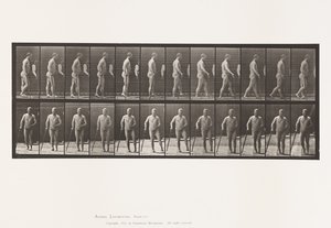 プレート552.片麻痺;杖を持って歩く、1885 作： Eadweard Muybridge