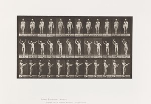 プレート557.地方舞踏会; A、B、C、立ちながら、1885 作： Eadweard Muybridge