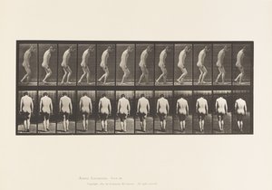 プレート558.麻痺;部分的;ウォーキング、1885 作： Eadweard Muybridge
