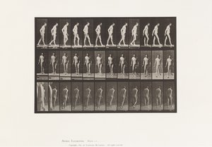 プレート559播種性硬化症、杖をついての歩行 作： Eadweard Muybridge