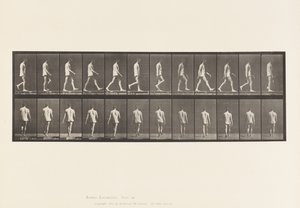 プレート560.運動失調症;ウォーキング、1885 作： Eadweard Muybridge