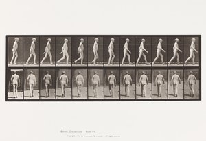 プレート562脊椎の側方湾曲、歩行 作： Eadweard Muybridge