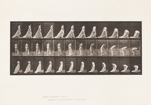 プレート56列車を持ち上げるために歩く、振り返る、かがむ 作： Eadweard Muybridge