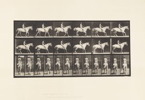 プレート582歩行用サドル、騎手（43歳、ヌード）、ライトグレーの馬（スミス 作： Eadweard Muybridge