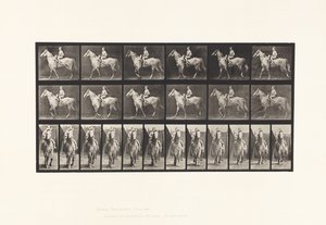 プレート583.ウォーキング;サドル;女性ライダー;ヌード;グレイホースタン、1885 作： Eadweard Muybridge