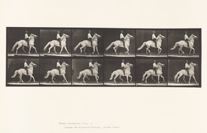 プレート589.Ambling 作： Eadweard Muybridge