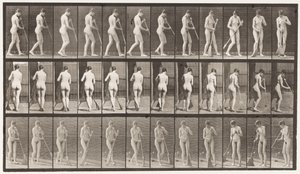 プレート58.歩いて、向きを変えて床を掃除する 作： Eadweard Muybridge