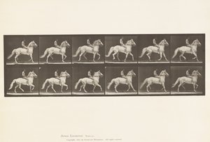 プレート590。 作： Eadweard Muybridge