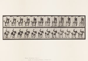 プレート600トロッティング・ベアバック・ダークグレー・デューゼル 作： Eadweard Muybridge