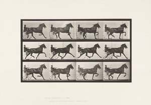 プレート606トロッティング、サルキー、ベイホース、ルーベン 作： Eadweard Muybridge