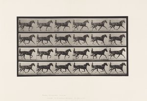 プレート608。Trotting; Sulky; Sorrel Mare, Flode Holden 作： Eadweard Muybridge