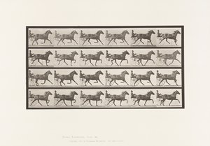 プレート609。Trotting; Sulky; Bay Mare, Lizzie M. 作： Eadweard Muybridge