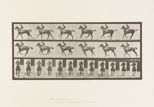 プレート621キャンター、サドル、サラブレッド・ベイ・メア・アニー 6 作： Eadweard Muybridge