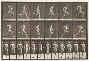プレート62.全速力で走る。、1872-1885 作： Eadweard Muybridge