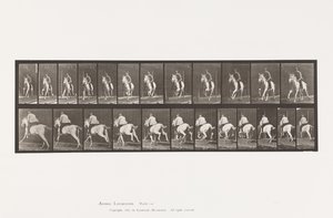 プレート 630ギャロップ、サドル、灰色の牝馬パンドラ 作： Eadweard Muybridge