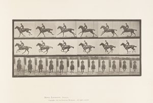 プレート631ギャロップ、サドル、サラブレッド・ベイホース・ブーケ 作： Eadweard Muybridge