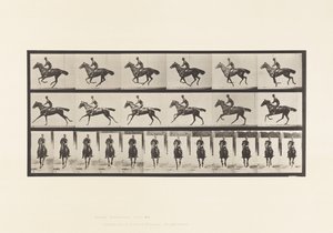 プレート632ギャロップ、サドル、サラブレッド・ベイホース・ブーケ 作： Eadweard Muybridge