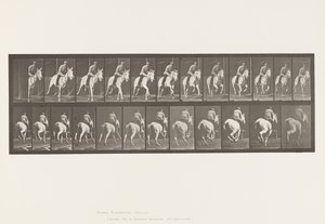 プレート635ギャロップ、サドル、灰色の雌馬、パンドラ 作： Eadweard Muybridge
